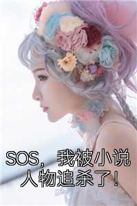 SOS，我被小说人物追杀了！