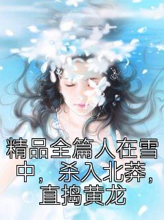 精品全篇人在雪中，杀入北莽，直捣黄龙