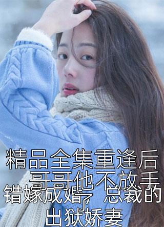 精品全集重逢后，哥哥他不放手了